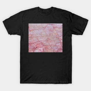 Texture pink stone structure T-Shirt